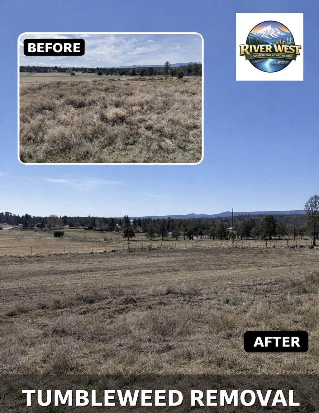 Before and after tumbleweed removal job in Central Oregon by River West Junk Removal